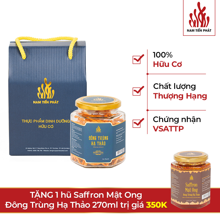 Đông trùng hạ thảo thượng hạng 20g