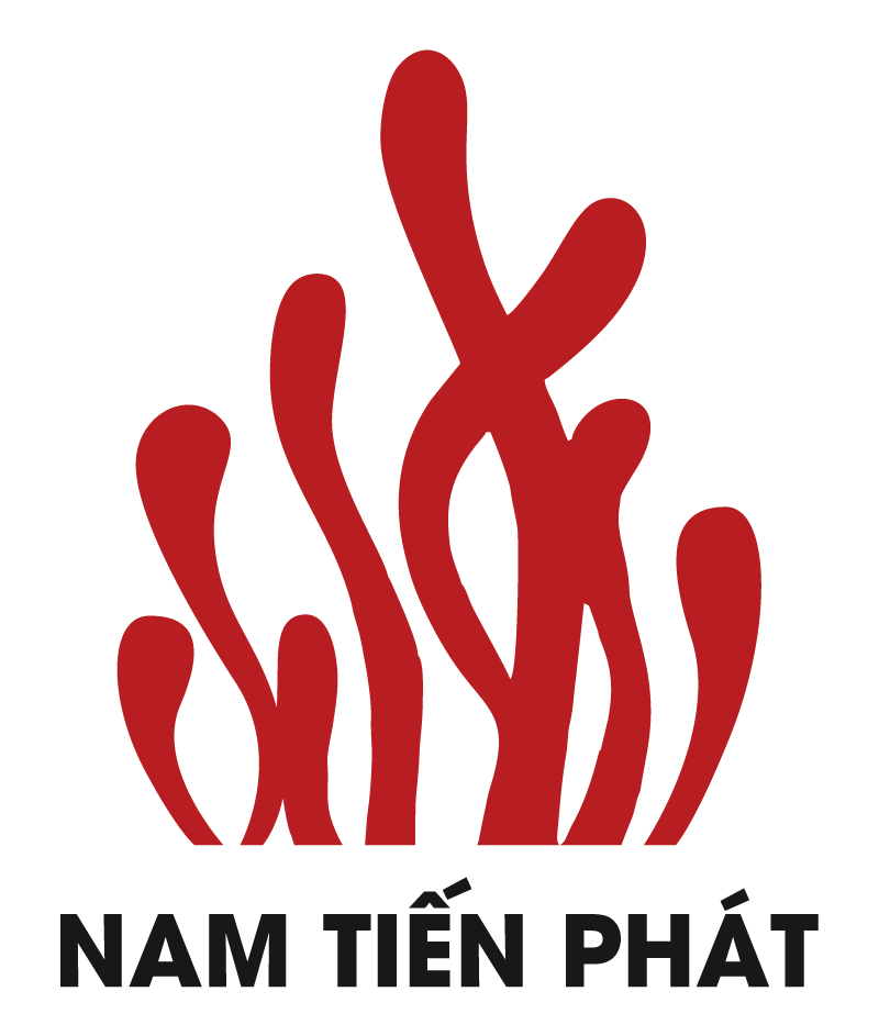Đông Trùng Nam Thiên Phát